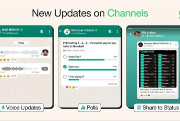Whatsapp Upgrade Alert: Polls, Voice Updates, and Enhance Admin Potential in the Apps Channels