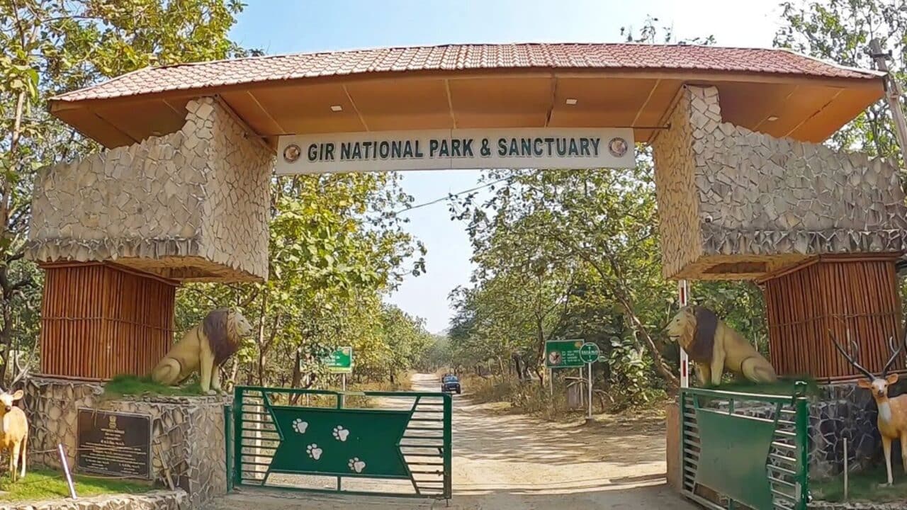 Gir Wildlife Sanctuary, Gujarat
