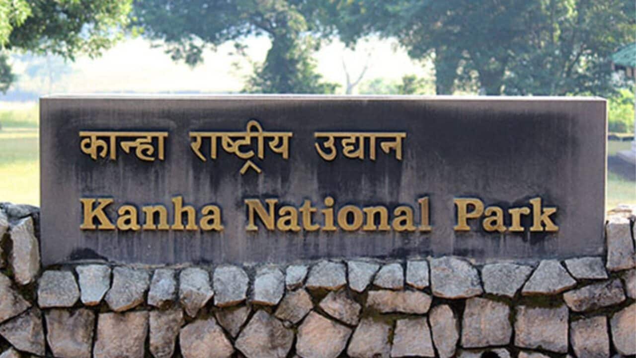 Kanha National Park, Madhya Pradesh
