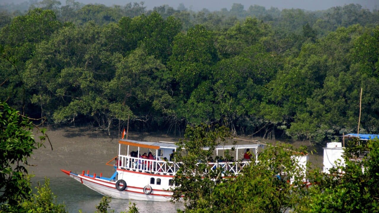 Sundarbans National Park, West Bengal
