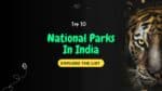Top 10 National Parks In India 2024