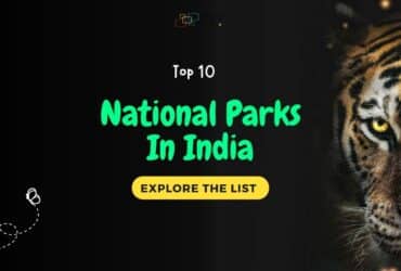 Top 10 National Parks In India 2024
