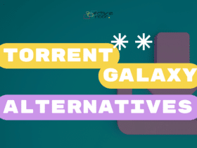 Best Torrent Galaxy Alternatives You Must Try